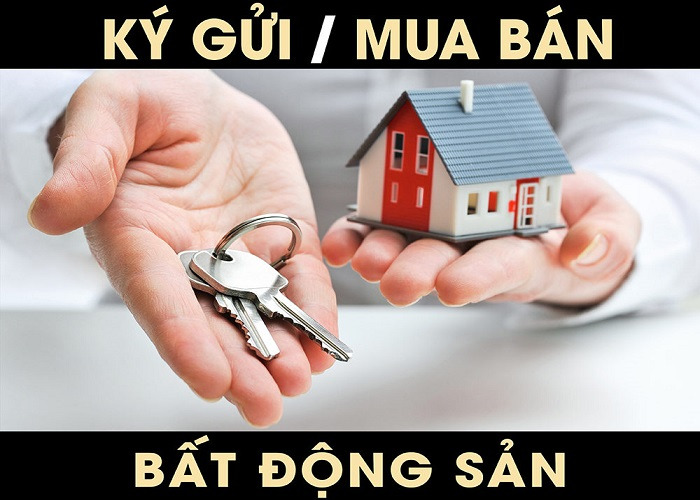 Thiên Khôi nhận ký gửi nhà đất tại Hà Đông chuyên nghiệp uy tín